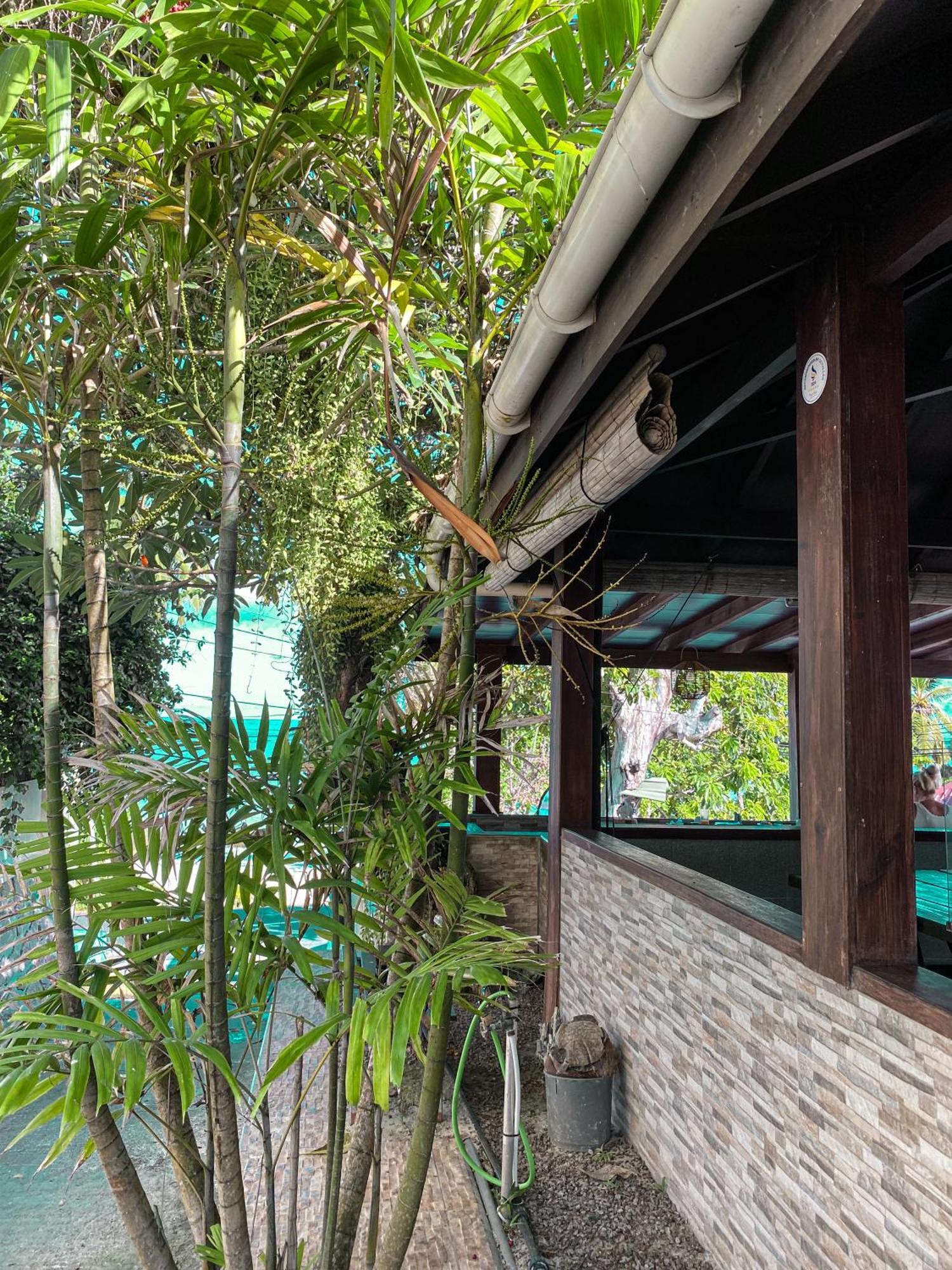 Divers Lodge Guest House Beau Vallon  Exterior photo
